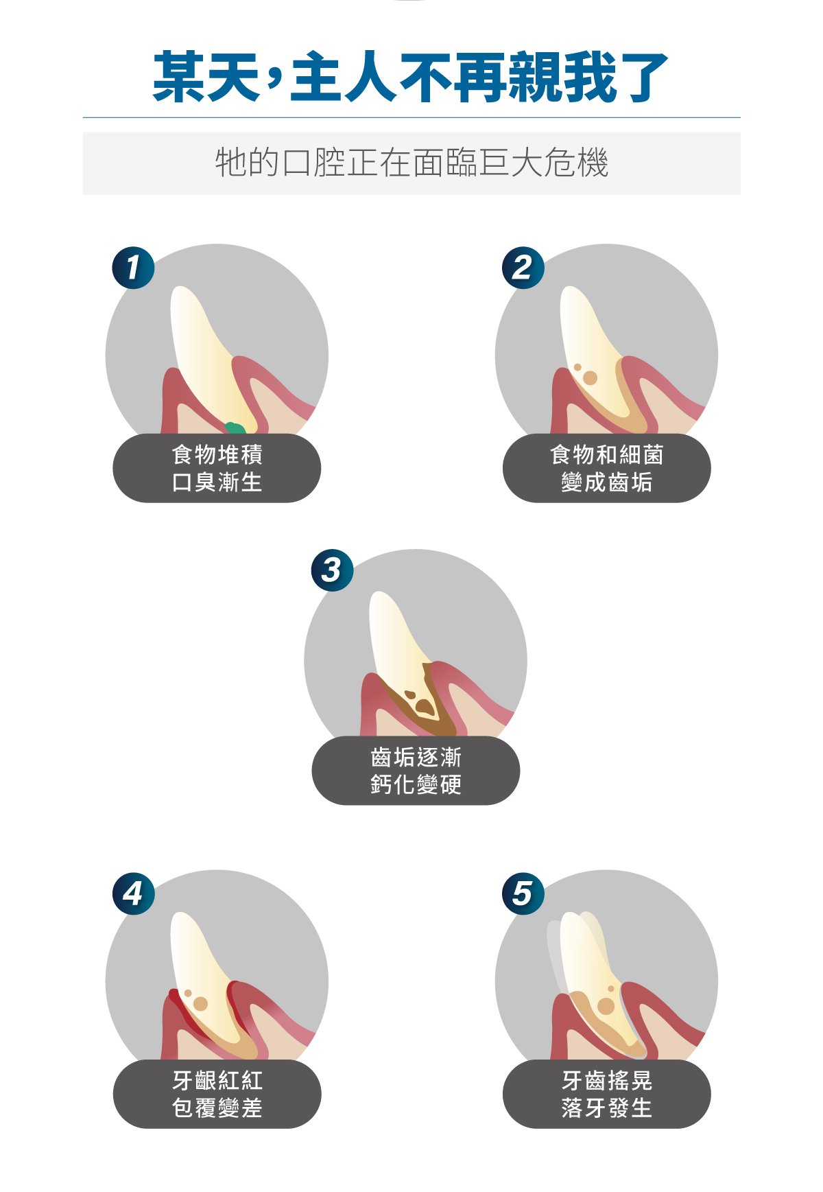 木入森 貓咪固齒麗口滴劑｜貓咪潔牙滴劑_5