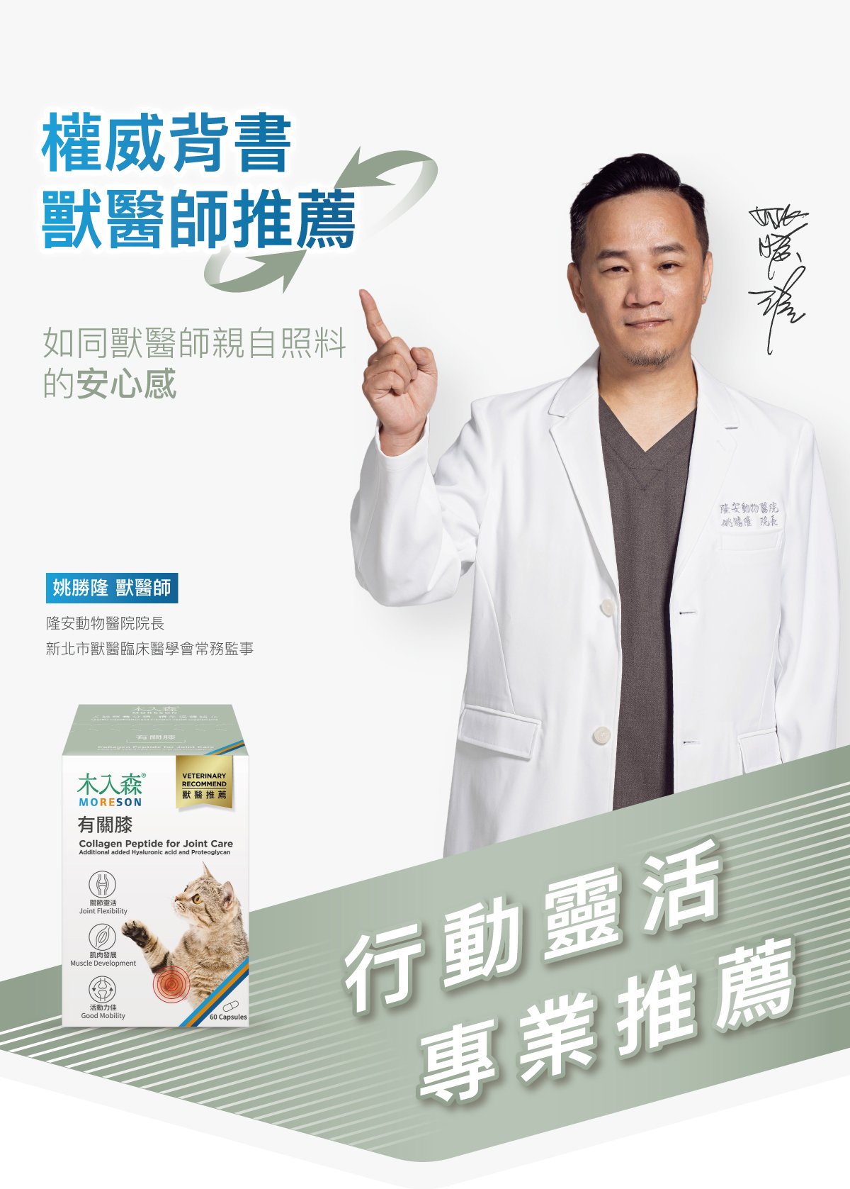 木入森 貓咪有關膝｜貓咪關節保健食品_5