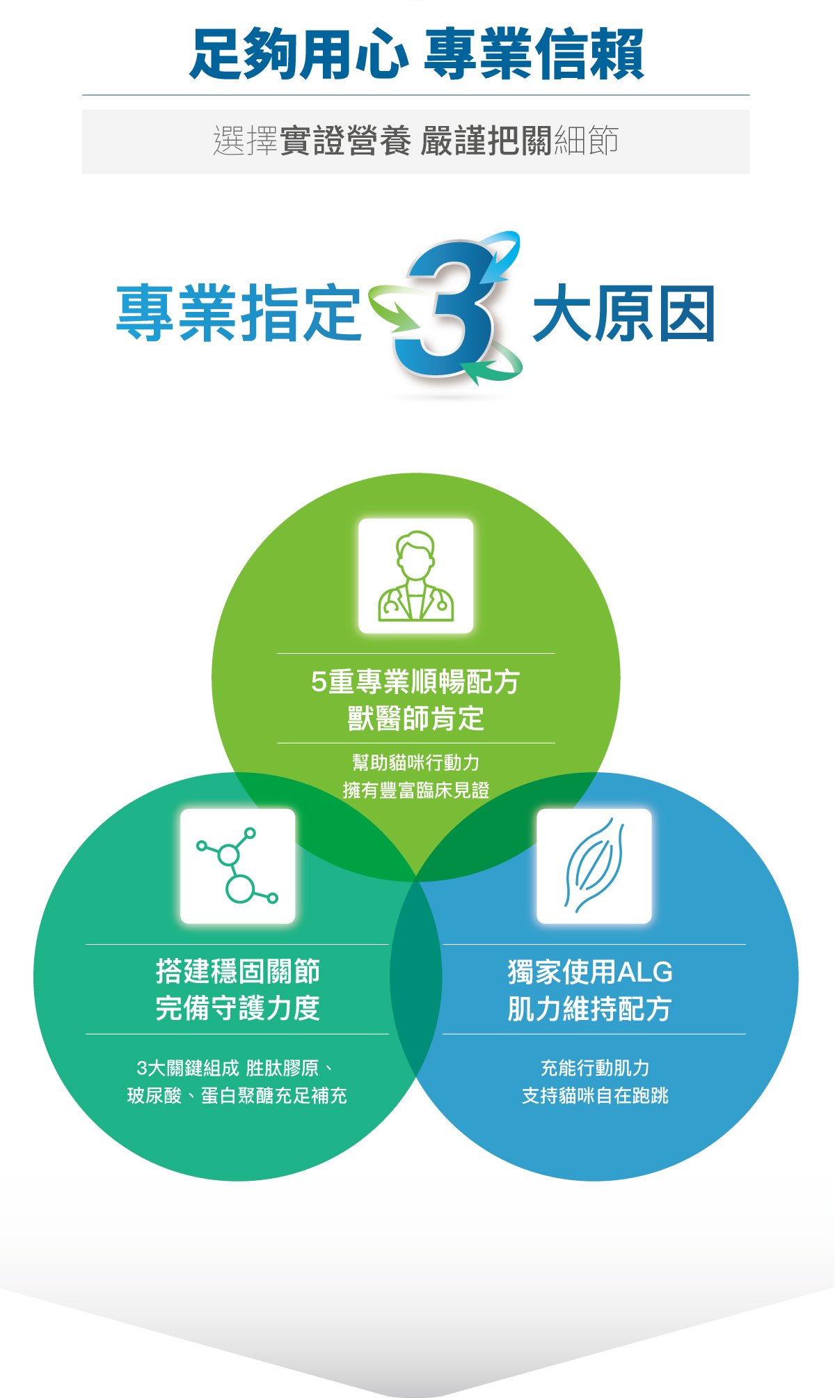 木入森 貓咪有關膝｜貓咪關節保健食品_6