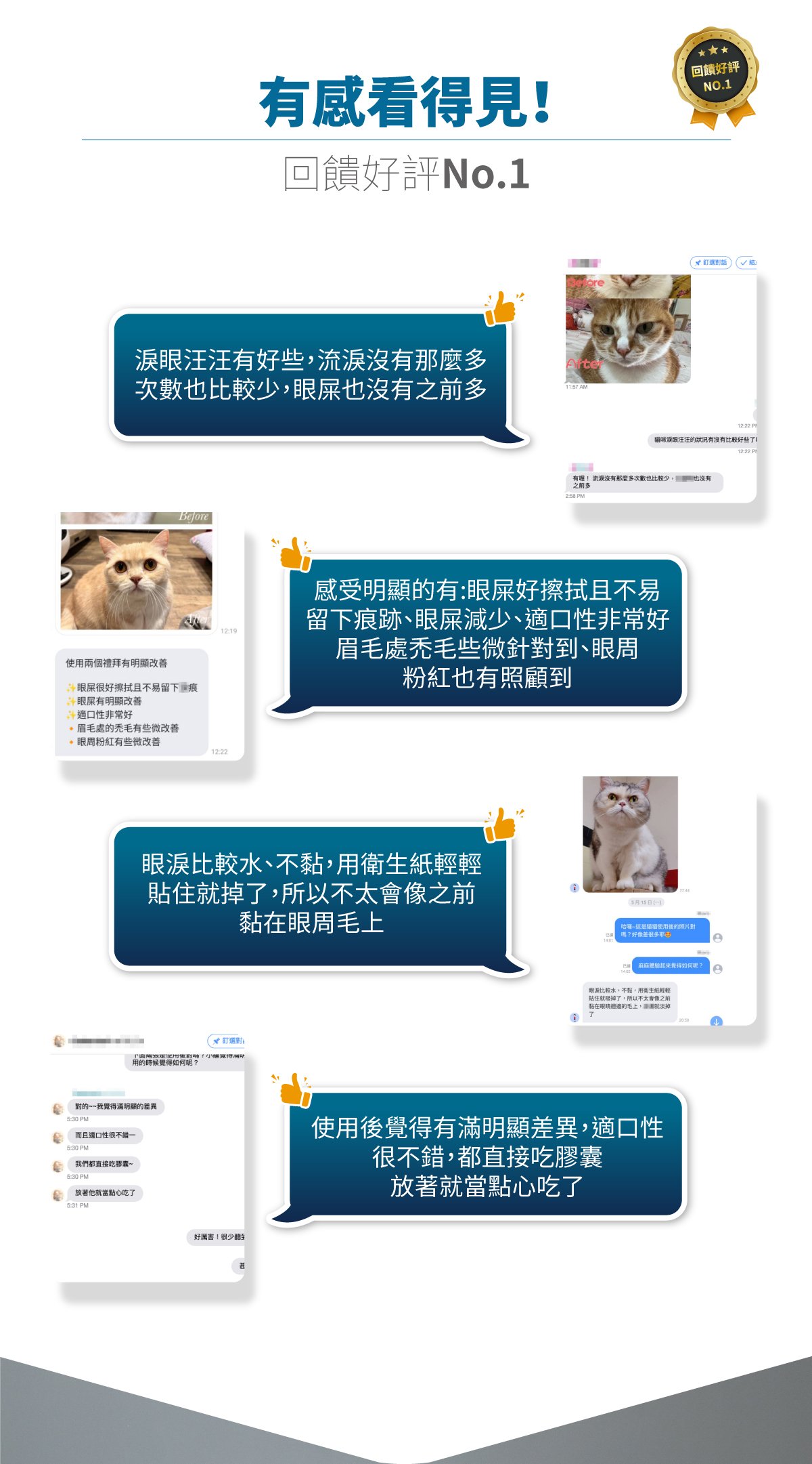 木入森 貓咪痕淨白｜貓咪眼睛保健食品_10