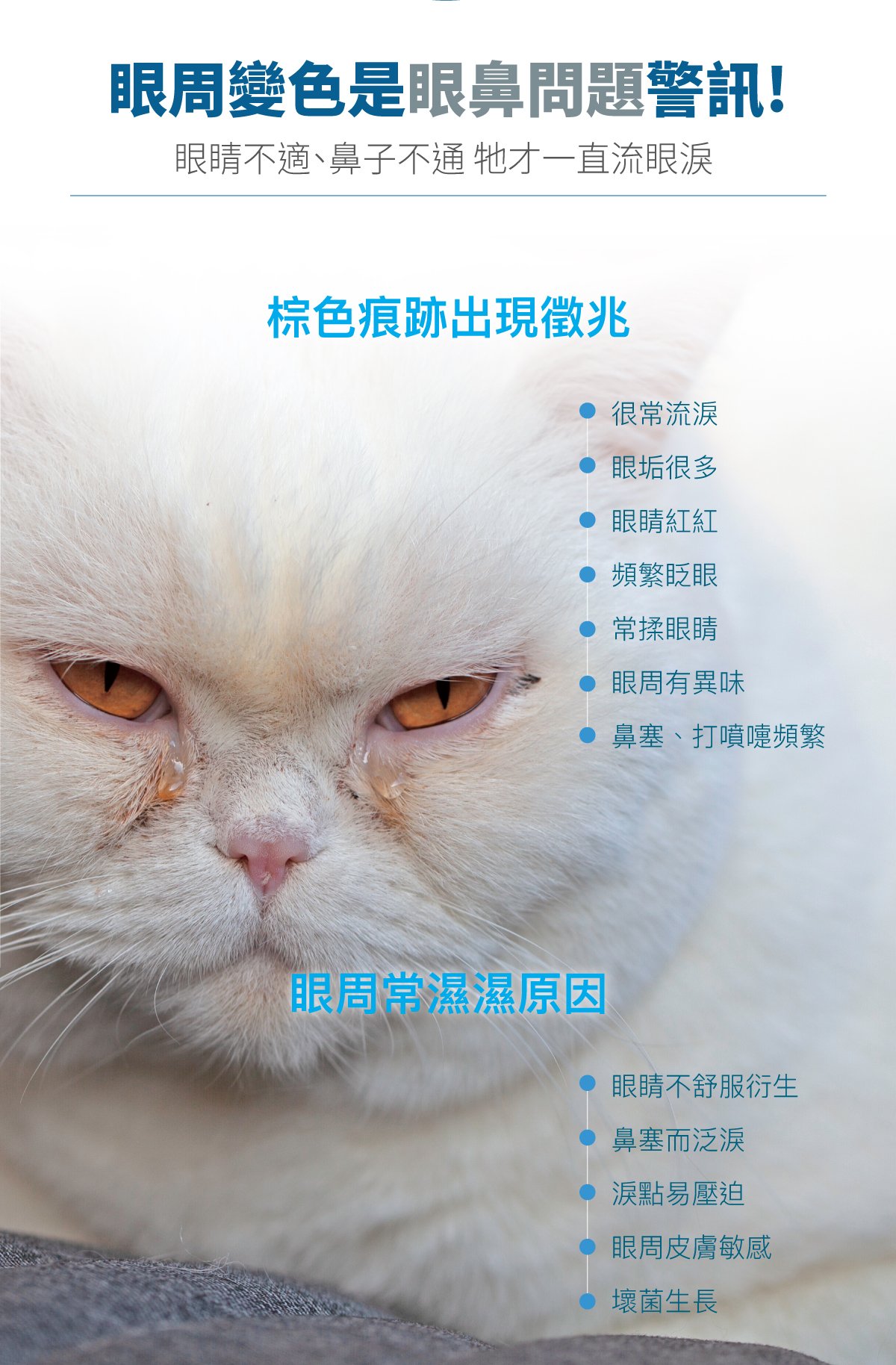木入森 貓咪痕淨白｜貓咪眼睛保健食品_2