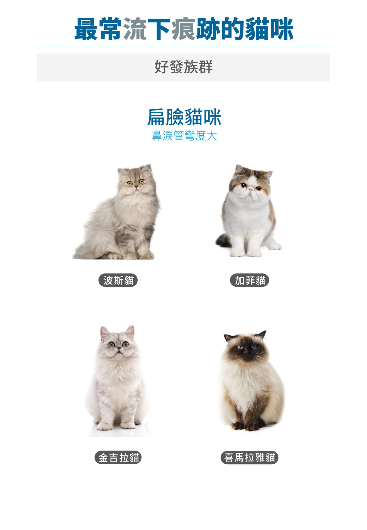 木入森 貓咪痕淨白｜貓咪眼睛保健食品_3