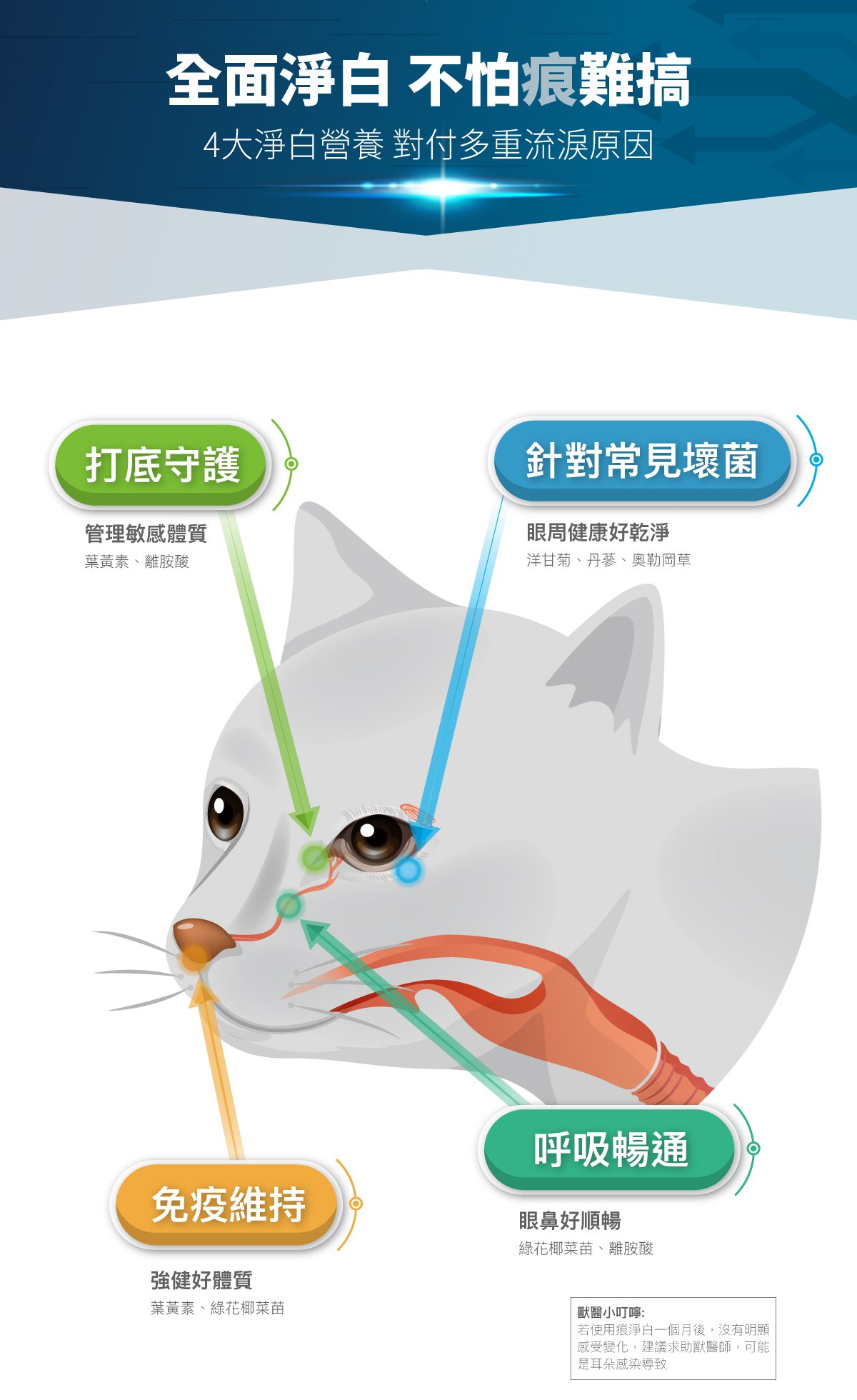 木入森 貓咪痕淨白｜貓咪眼睛保健食品_6