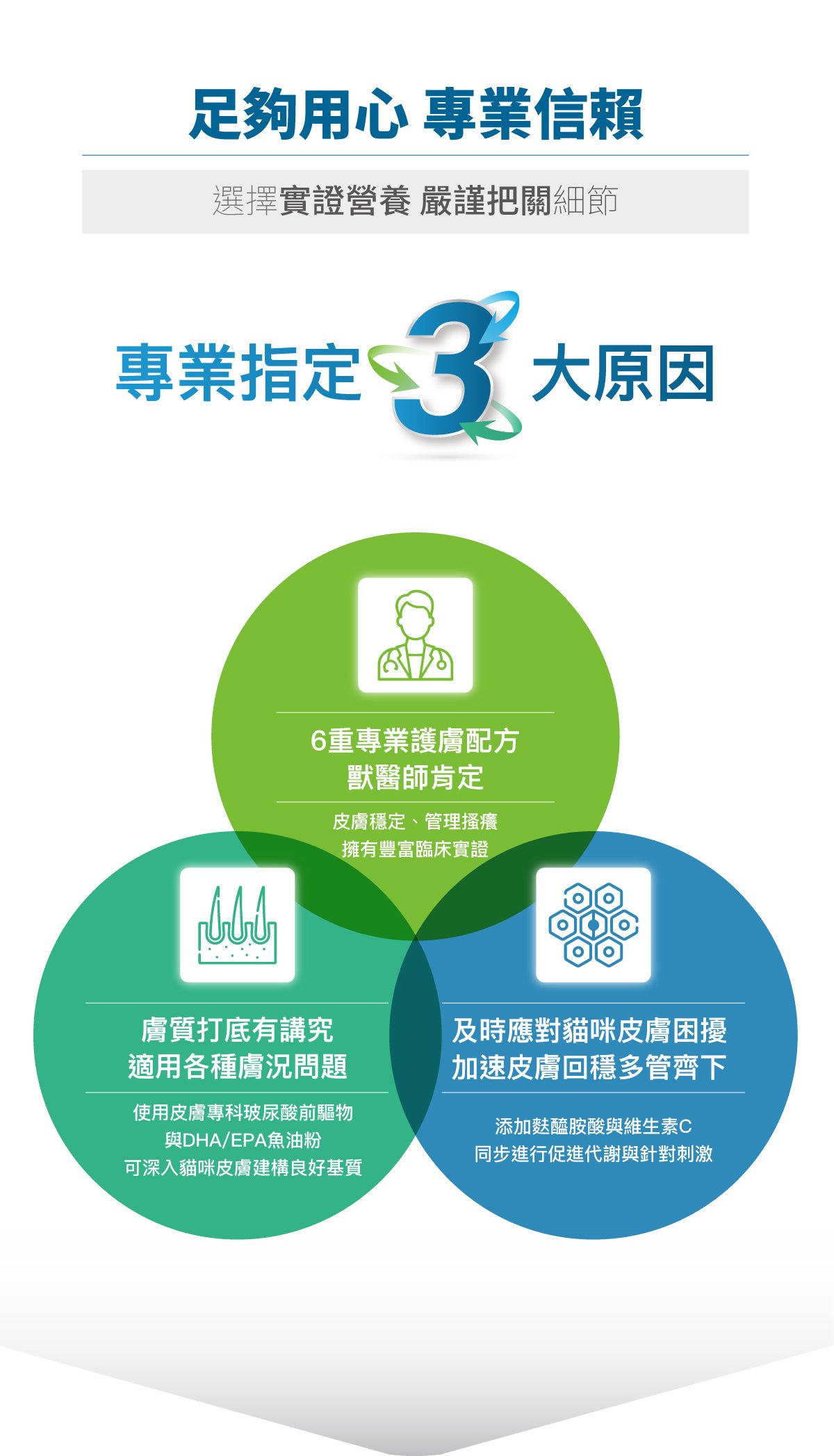 木入森 貓咪膚立好｜貓咪皮膚保健食品_4